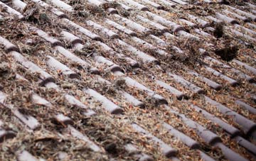 Madjeston roof cleaning companies